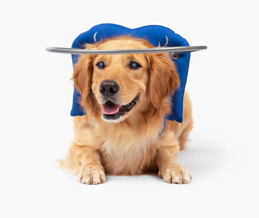 Health & Safety Muffin’s Halo | Muffin'S Halo Blind Dog Guide - Blue Angel Wings