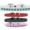 Collars, Leads & Accessories Mirage Pet Products | Premium Southwest Turquoise Pearl Collection Dog Collar