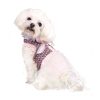 Harnesses Pooch Outfitters | Addison Harness Top