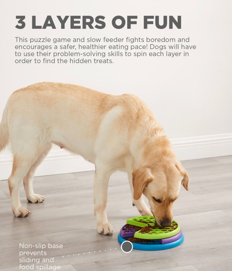 Toys & Playthings Nina Ottosson™ | Nina Ottosson Lickin' Layers Interactive Treat Dog Puzzle Toy Multicolored Level 2