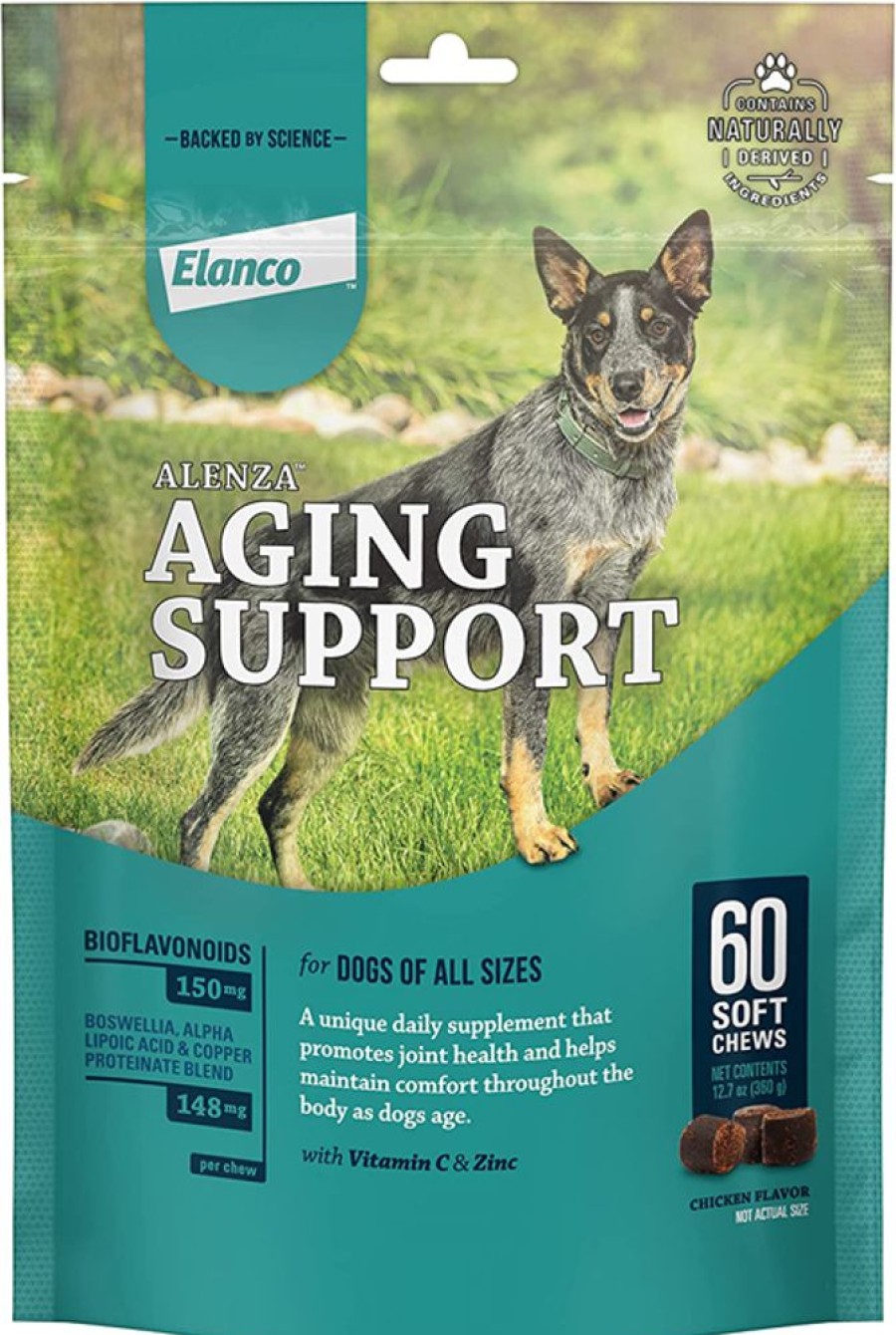 Health & Safety Bayer | Bayer Dog Alenza Aging Support Soft Chews 60Ct.