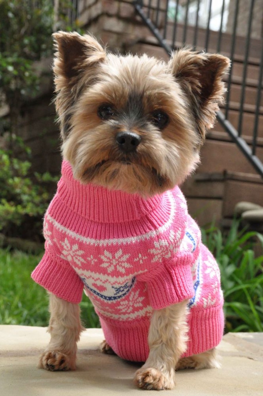 Pet Apparel (Continued) Doggie Design, Inc. | 100% Combed Cotton Snowflake And Hearts Dog Sweater - Pink