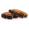 Collars, Leads & Accessories P. L. A. Y. | Napoli Collection_Dog Collar