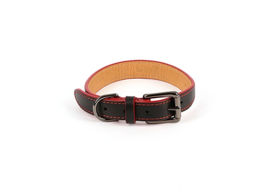 Collars, Leads & Accessories P. L. A. Y. | Napoli Collection_Dog Collar