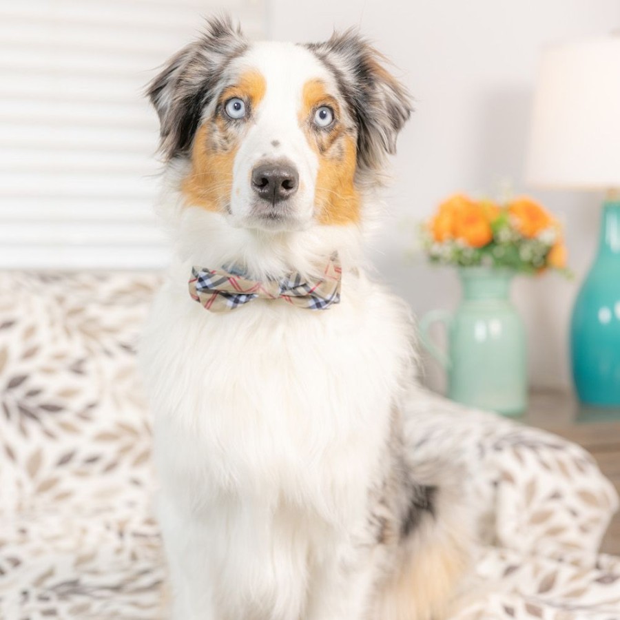 Collars, Leads & Accessories Huxley & Kent® | High Street Plaid Bow Tie