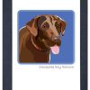 Special Occasion & Holiday Paper Russells | Chesapeak Bay Retriever - Grrreen Boxed Note Cards