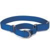 Collars, Leads & Accessories PetSafe® | Martingale Collars By Petsafe®