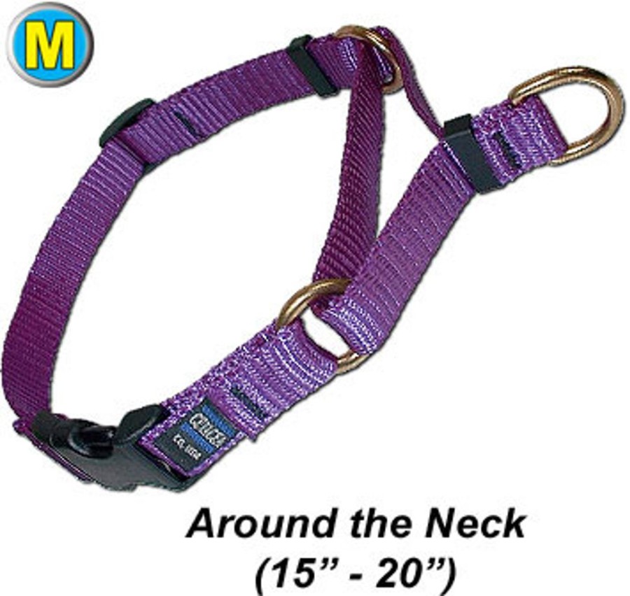 Collars, Leads & Accessories CETACEA® Pet Products | Medium Soft Webbing Martingale