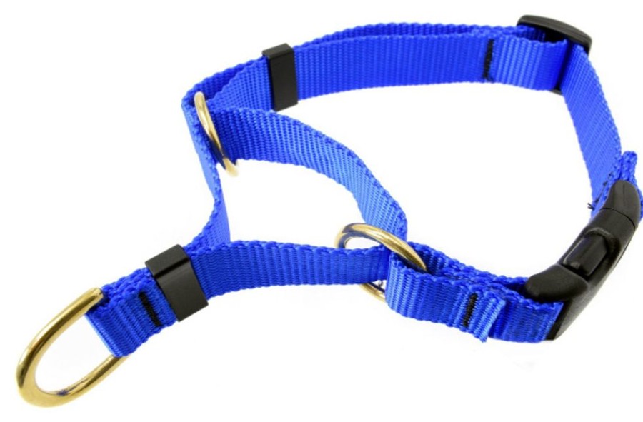 Collars, Leads & Accessories CETACEA® Pet Products | Medium Soft Webbing Martingale