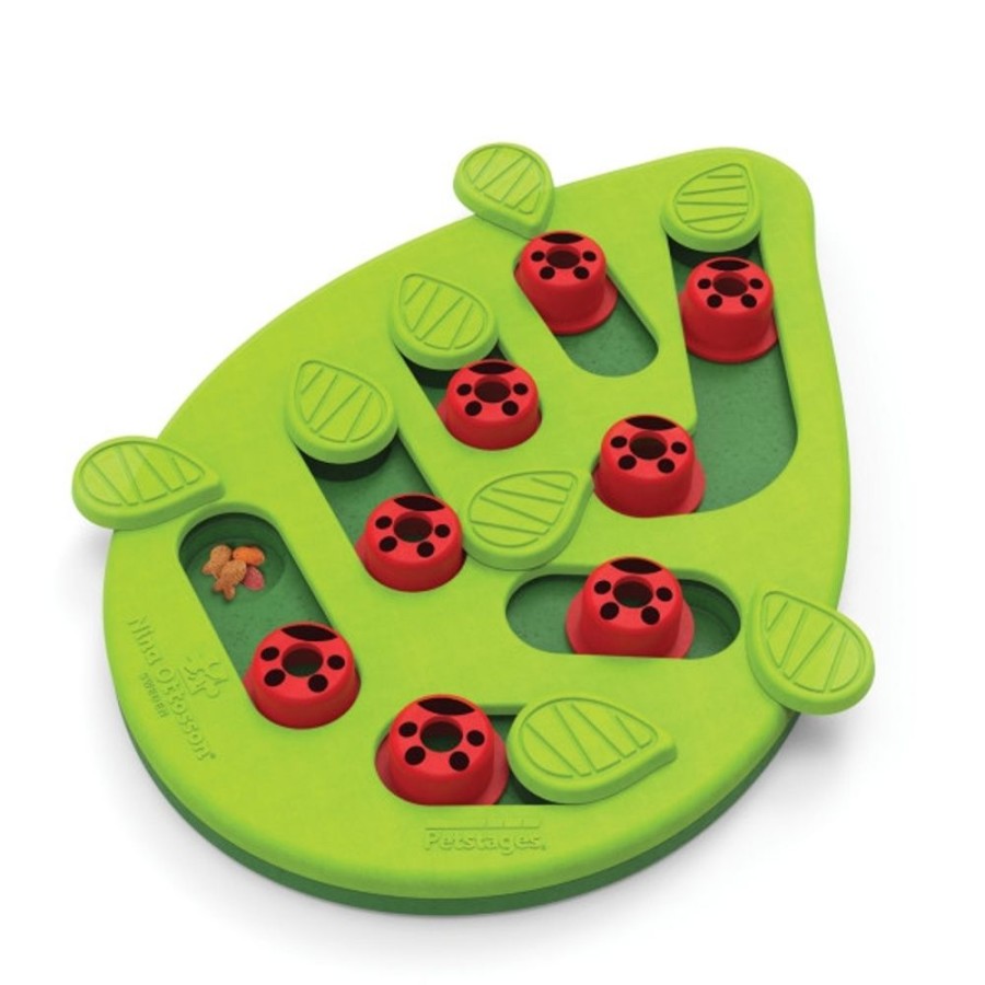 For Cats & Other Critters Nina Ottosson™ | Buggin Out Puzzle & Play Cat Toy By Petstages & Nina Ottosson