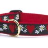 Collars, Leads & Accessories Up Country™ | Hearts & Flowers Dog Collection