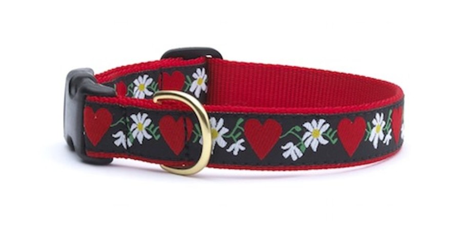 Collars, Leads & Accessories Up Country™ | Hearts & Flowers Dog Collection