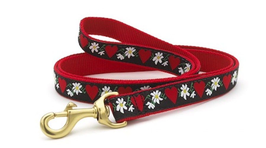 Collars, Leads & Accessories Up Country™ | Hearts & Flowers Dog Collection