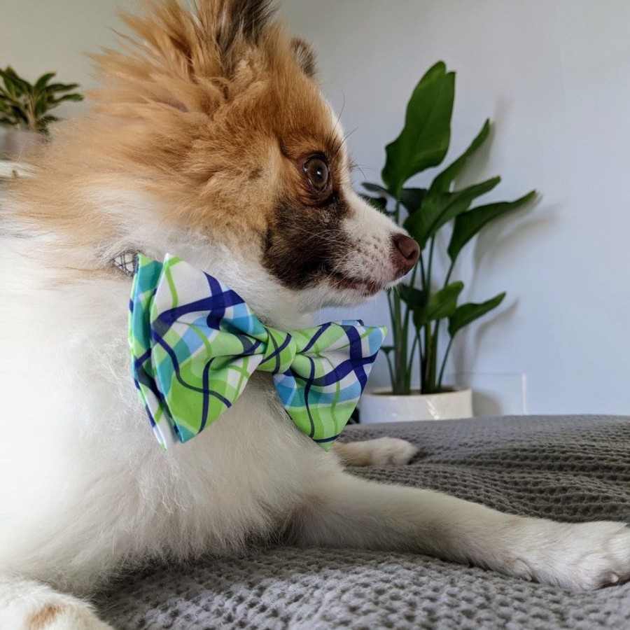 Collars, Leads & Accessories Huxley & Kent® | Lime Madras Bow Tie