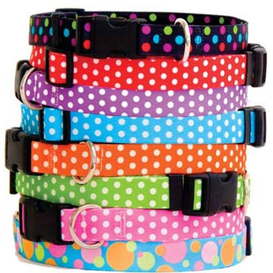 Collars, Leads & Accessories Yellow Dog Design | Polkas & More Collection