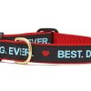 Collars, Leads & Accessories Up Country™ | Best. Dog. Ever. Dog Collection