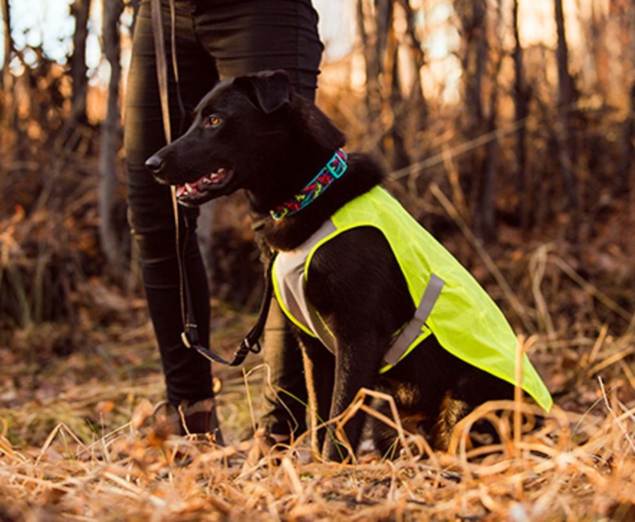 Health & Safety RC Pets | Luna Hi-Vis Vest - Tennis