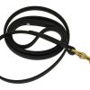 Collars, Leads & Accessories Ray Allen Manufacturing | Biothane Leash (3/8" )