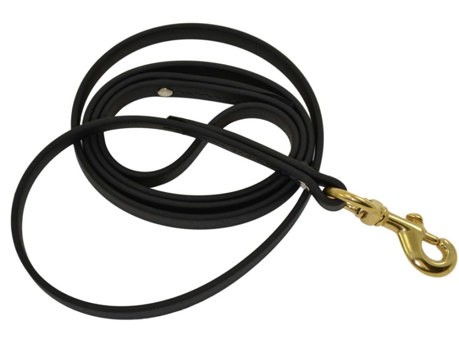 Collars, Leads & Accessories Ray Allen Manufacturing | Biothane Leash (3/8" )