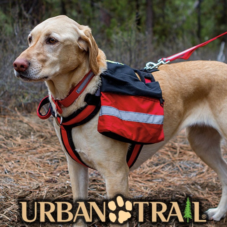 Harnesses Alpine Outfitters® | Urban Trail® Pack • Bestpetsshop