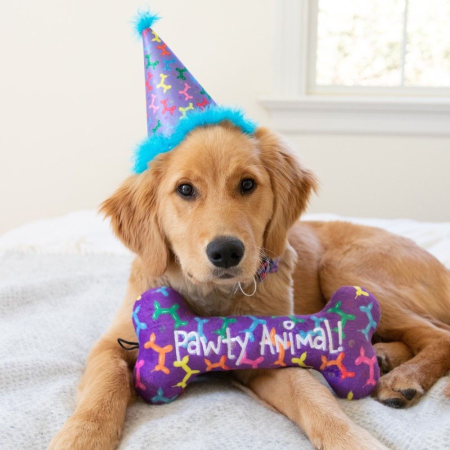 Special Occasion & Holiday Huxley & Kent® | Party Hats With Snugfit®