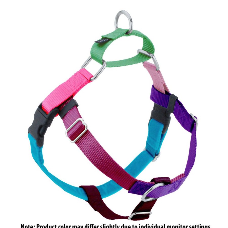 Harnesses 2 Hounds Design | 1" Patented Jellybean Freedom No-Pull Harness Deluxe Training Package (35-200 Lbs)