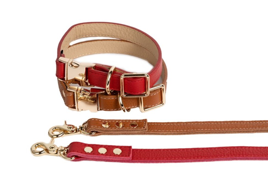 Collars, Leads & Accessories Canine Styles® | Fine Leather Buckle Collar And Lead