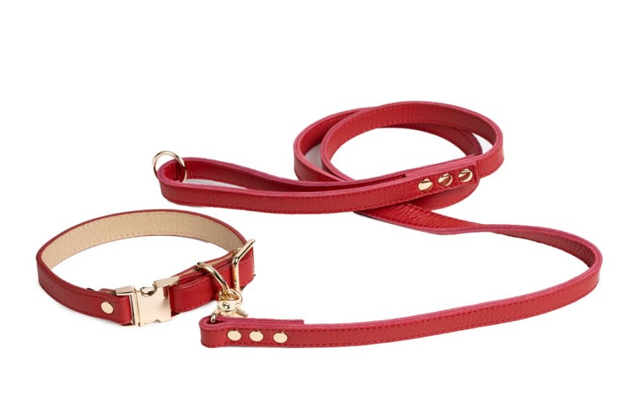 Collars, Leads & Accessories Canine Styles® | Fine Leather Buckle Collar And Lead