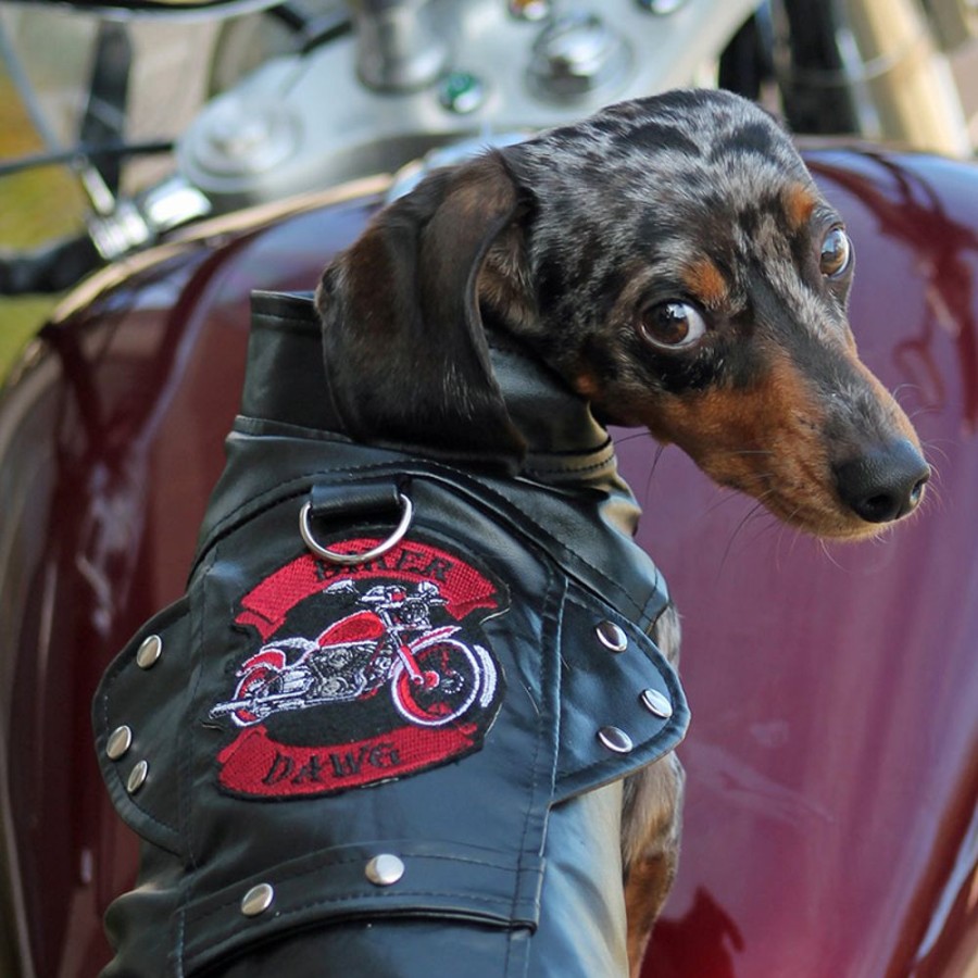 Pet Apparel Doggie Design, Inc. | Biker Dawg Motorcycle Jacket - Black