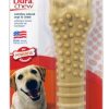 Treats Nylabone | Nylabone Dura Chew Textured Peanut Butter Souper