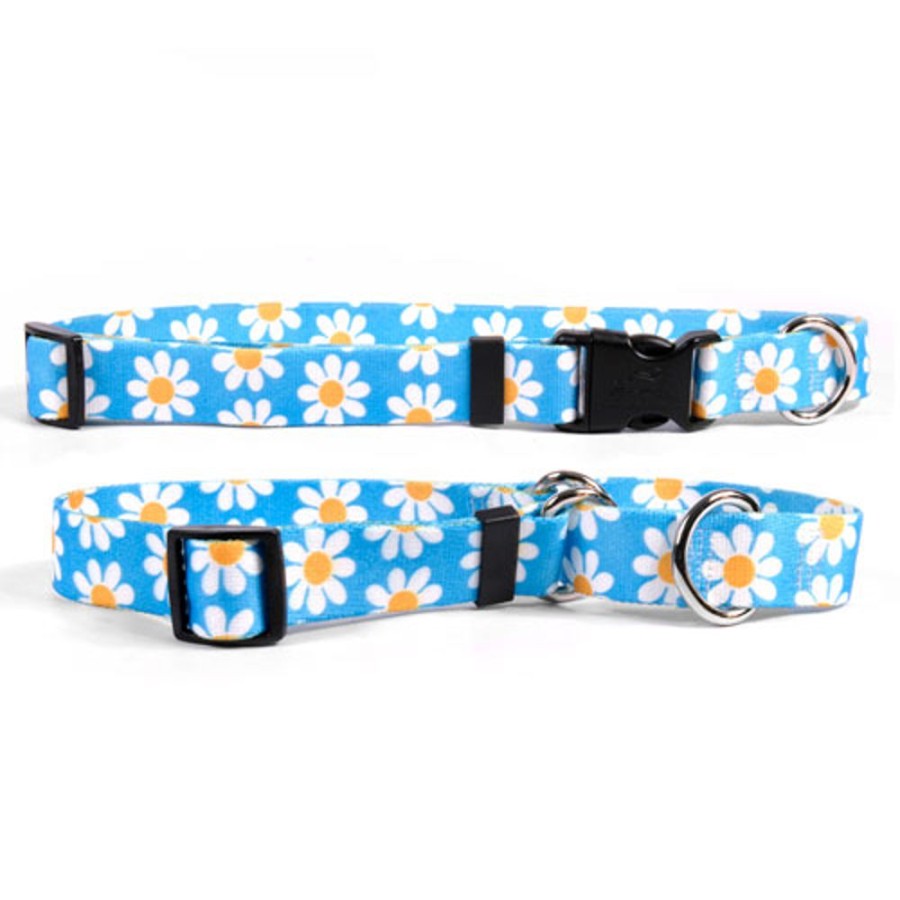 Collars, Leads & Accessories Yellow Dog Design | Blue Daisy Collection