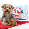 Special Occasion & Holiday BoxDog | Boxdog 5 Item Gift Box For Dogs By Boxdog