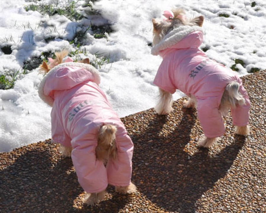 Pet Apparel Doggie Design, Inc. | Ruffin It Dog Snowsuit - Pink