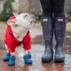 Pet Apparel wagwear | Wagwellies Boots