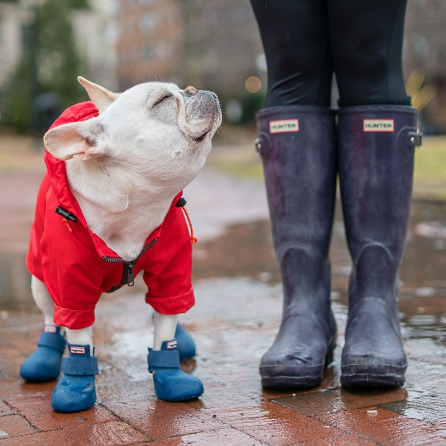 Pet Apparel wagwear | Wagwellies Boots