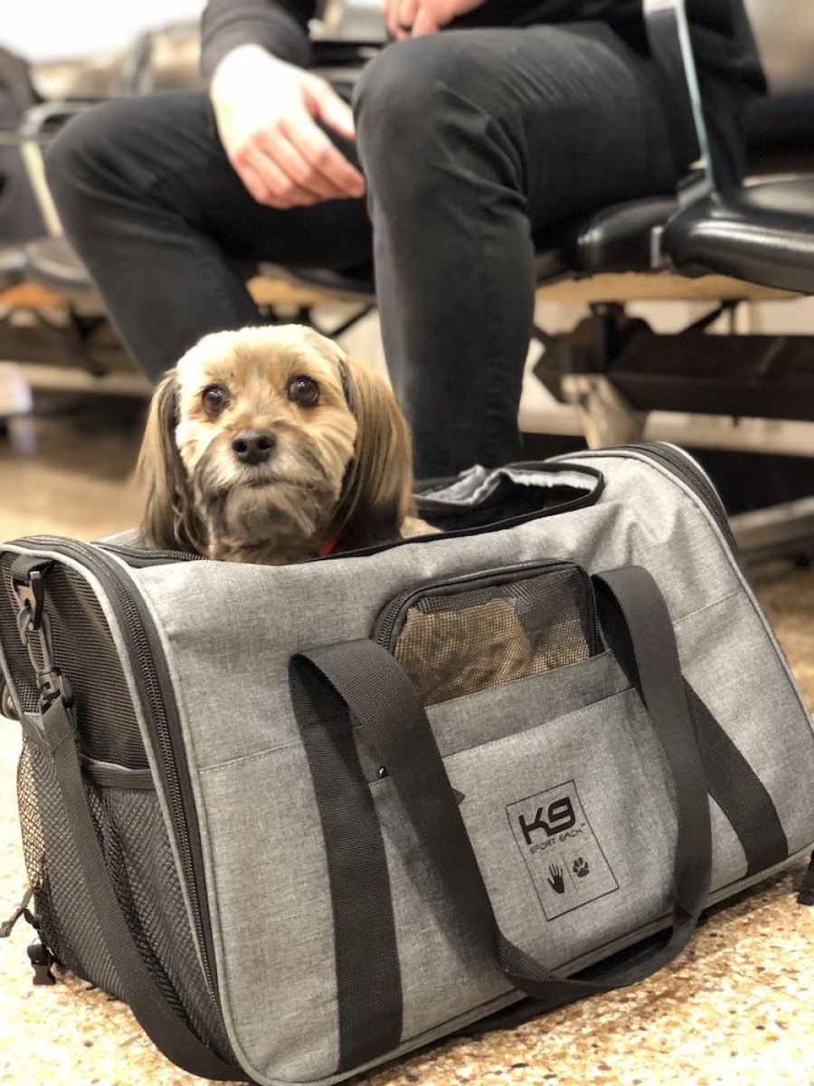 Totes & Carriers K9 Sport Sack | K9 Karry-On Tsa Approved Carrier