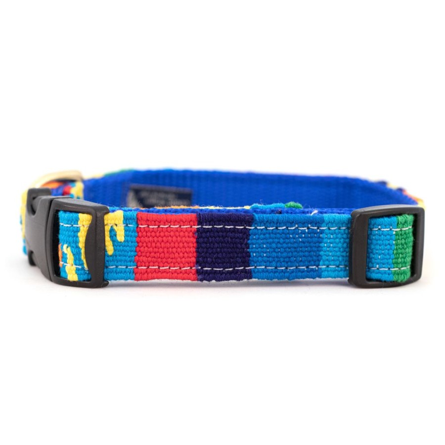 Collars, Leads & Accessories a tail we could wag | Fiesta Collars, Leashes, & Martingale Collars