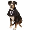 Pet Apparel (Continued) Pet Krewe | Tuxedo Collar