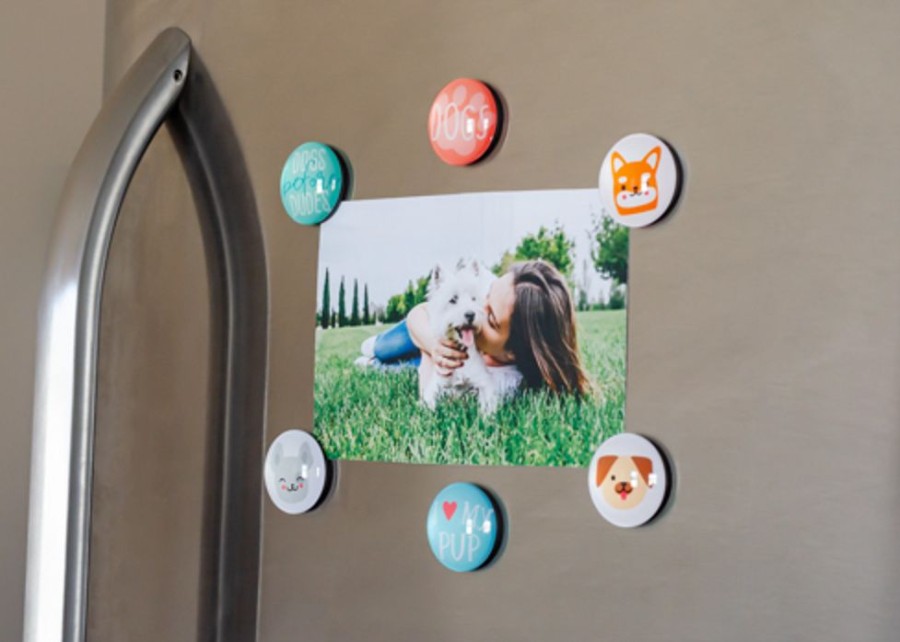 For The Home Pearhead™ | Dog Glass Magnets