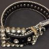 Collars, Leads & Accessories Canine Brands | Bling Dog Collar - Black