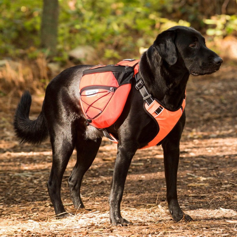 Harnesses BAYDOG | Saranac Backpack