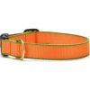 Collars, Leads & Accessories Up Country™ | Tangerine And Pine Green - Color Market Collection Collars & Leads