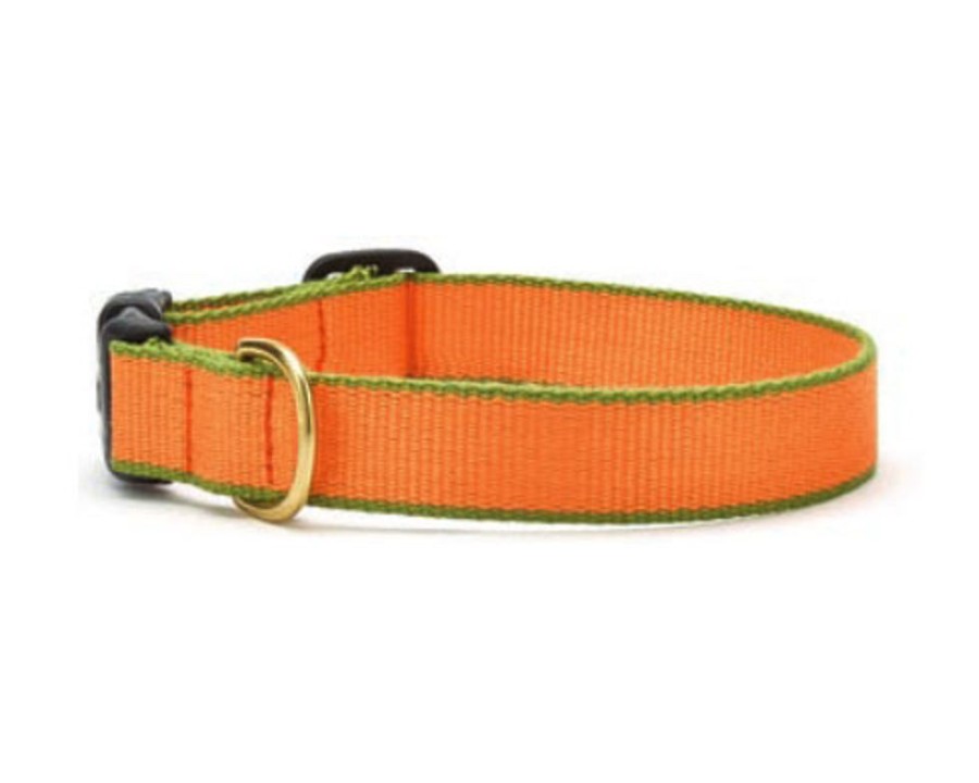 Collars, Leads & Accessories Up Country™ | Tangerine And Pine Green - Color Market Collection Collars & Leads