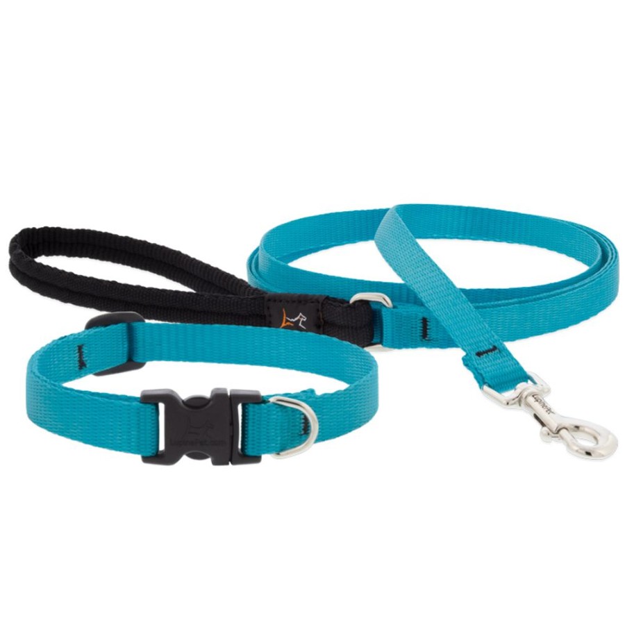 Collars, Leads & Accessories Lupine | Lupinepet® 1/2" Basic Solids Collection