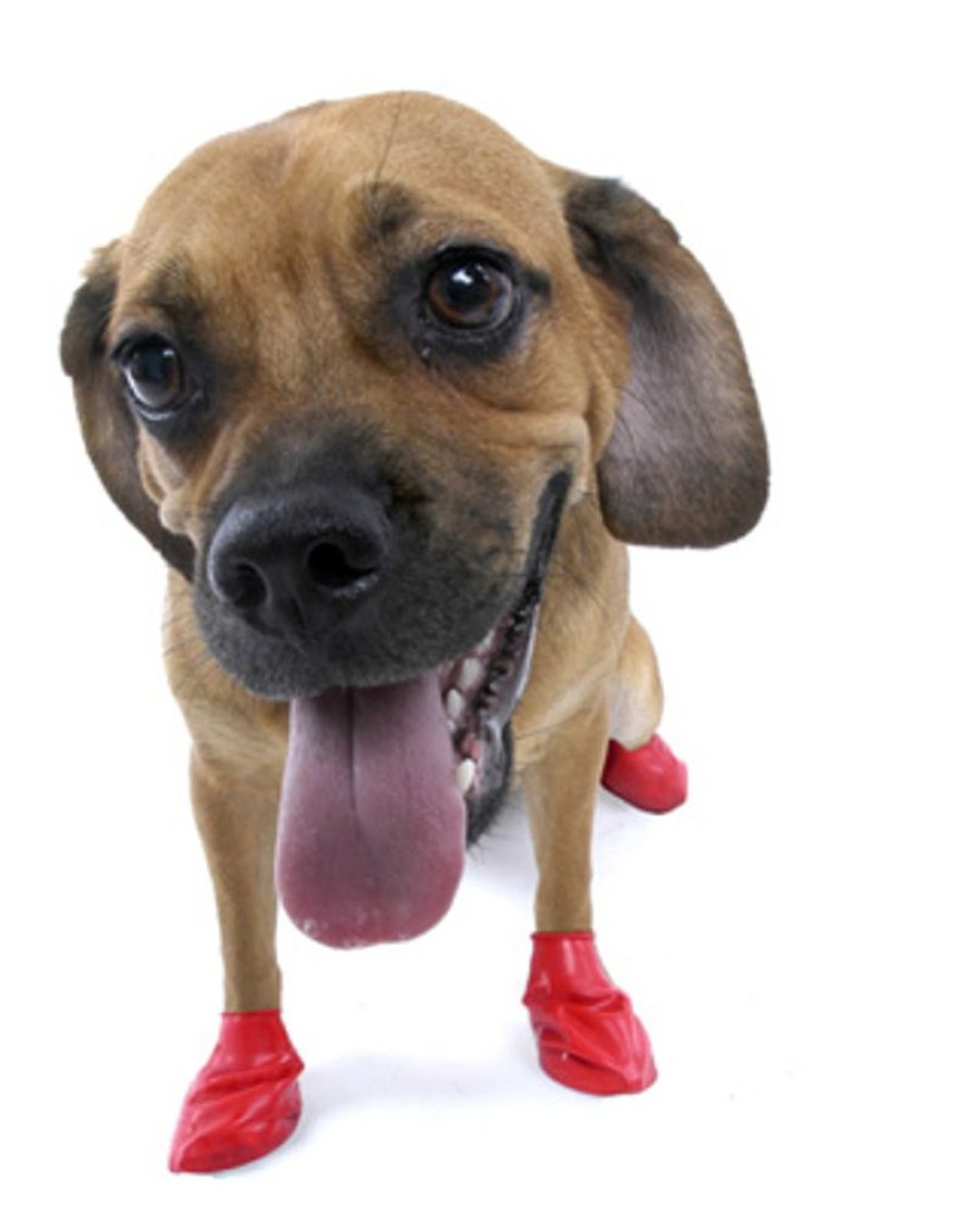 Pet Apparel PawZ Dog Boots | Pawz - Red - Small - Up To 2.5"