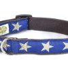 Collars, Leads & Accessories earthdog | Kody3 Collection