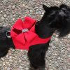 Harnesses Susan Lanci Designs, Inc. | Bailey Nouveau Bow Harness