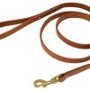 Collars, Leads & Accessories Ray Allen Manufacturing | Harness Leather Leash (3/4" )