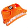 For Cats & Other Critters Travel Cat | The True Adventurer Reflective Harness & Leash - Orange