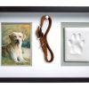 For The Home Pearhead™ | Pet Memorial Shadow Box